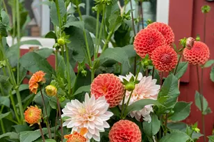 1020 Hendricks Hill Rd, Southport, ME 04576 - Photo 103