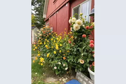 1020 Hendricks Hill Road, Southport, ME 04576 - Photo 79