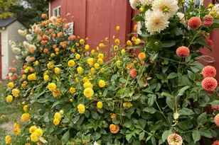 1020 Hendricks Hill Rd, Southport, ME 04576 - Photo 79