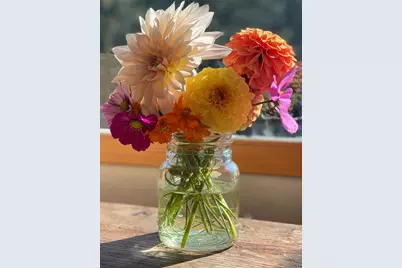 1020 Hendricks Hill Road, Southport, ME 04576 - Photo 5