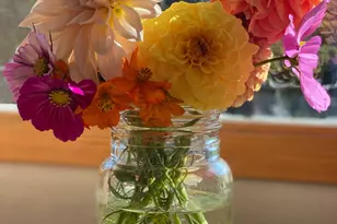 1020 Hendricks Hill Rd, Southport, ME 04576 - Photo 5