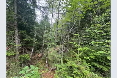 M2 L21-2 S Ridge Road, Palmyra, ME 04965 - Photo 9