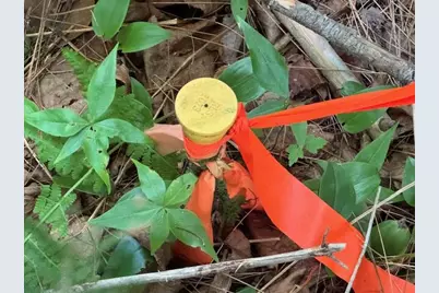 M2 L21-2 S Ridge Road, Palmyra, ME 04965 - Photo 11