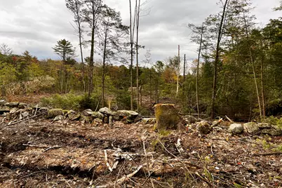 Tbd Pond Road, West Gardiner, ME 04345 - Photo 11