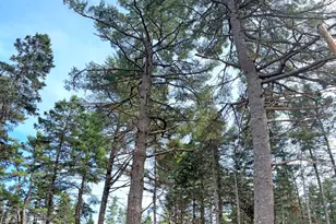 18 Hamor Ln, Bar Harbor, ME 04609 - Photo 89