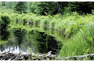 Map 3 - 30 Marshfield Flats Rd, Marshfield, ME 04654 - Photo 1