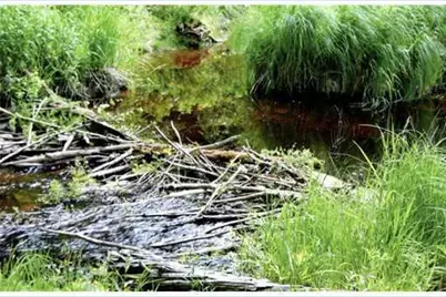 Map 3 - 30 Marshfield Flats Road, Marshfield, ME 04654 - Photo 5