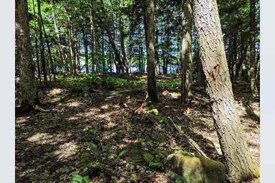 39 Tilton Pond Road, Fayette, ME 04349 - Photo 85