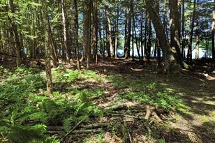 39 Tilton Pond Rd, Fayette, ME 04349 - Photo 87