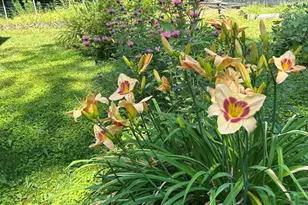 39 Tilton Pond Rd, Fayette, ME 04349 - Photo 7