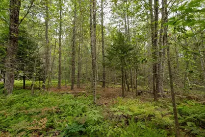 Part Of Map 7 Lot 48-A Nelson Ridge Road S, Washington, ME 04574 - Photo 15