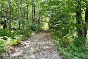 10 S Arm Rd, Andover, ME 04226 - Photo 69