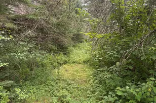 64 Ip Rd, Coplin Plt, ME 04982 - Photo 51