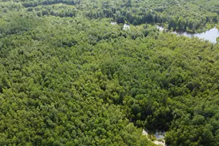 7 Sharon Ln, Cherryfield, ME 04622 - Photo 1