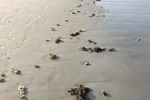 27 Sunrise Ave, Saco, ME 04072 - Photo 19