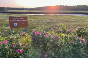 27 Sunrise Ave, Saco, ME 04072 - Photo 57