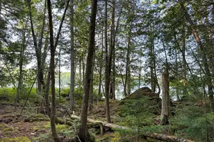 277 Bill Green Pond Rd, T3 R1 Nbpp, ME 04455 - Photo 17