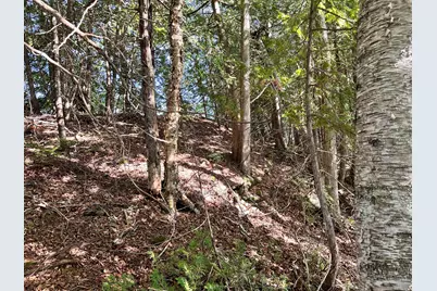 4C Carmichael Road, Littleton, ME 04730 - Photo 7