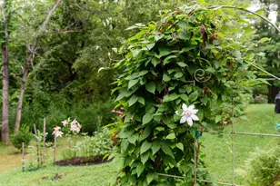 245 Bradley St, Saco, ME 04072 - Photo 35