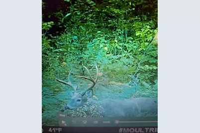 017-001 Blackberry Lane Lane, Rumford, ME 04276 - Photo 37