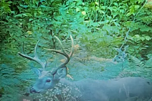 017-001 Blackberry Ln Ln, Rumford, ME 04276 - Photo 37