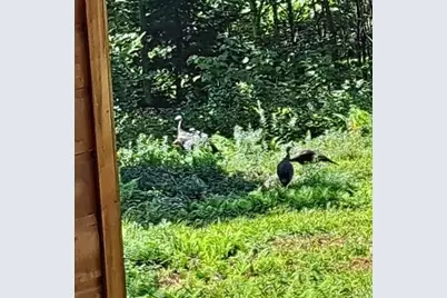 017-001 Blackberry Lane Lane, Rumford, ME 04276 - Photo 39