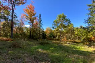 017-001 Blackberry Ln Ln, Rumford, ME 04276 - Photo 13