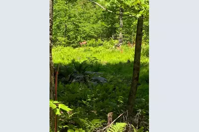 017-001 Blackberry Lane Lane, Rumford, ME 04276 - Photo 35