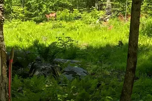 017-001 Blackberry Ln Ln, Rumford, ME 04276 - Photo 35