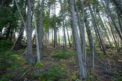 0 Bayview Road #2, Harpswell, ME 04066 - Photo 33