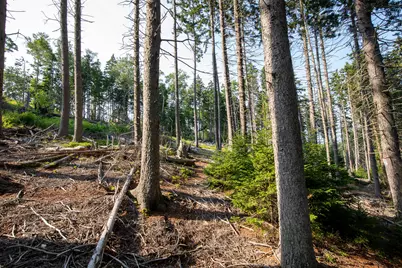 0 Bayview Road #2, Harpswell, ME 04066 - Photo 31