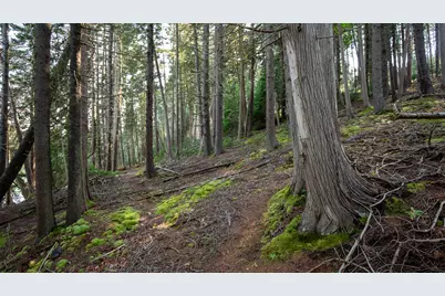 0 Bayview Road #2, Harpswell, ME 04066 - Photo 47