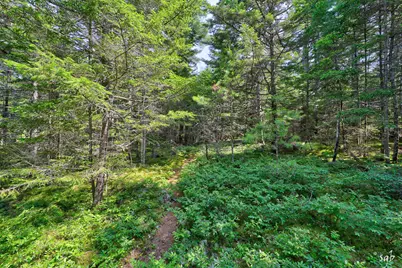 Lot 3 Bear Springs Lane, Surry, ME 04684 - Photo 3