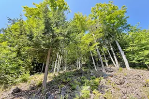 325 Lower Dedham Rd, Holden, ME 04429 - Photo 51