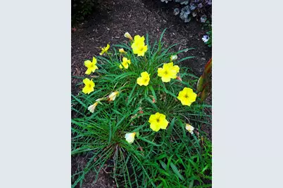 139 Five Road, Carmel, ME 04419 - Photo 81