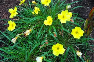 139 Five Rd, Carmel, ME 04419 - Photo 81