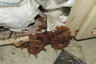 24 Hill St, Saco, ME 04072 - Photo 7