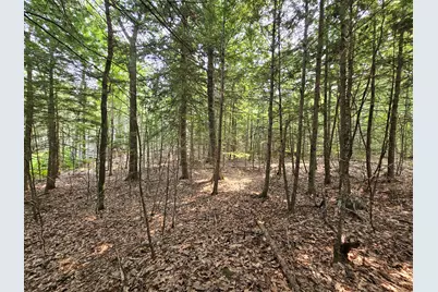 0 Gould Road, Orono, ME 04473 - Photo 1