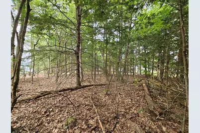 0 Gould Road, Orono, ME 04473 - Photo 11