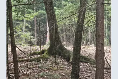 0 Gould Road, Orono, ME 04473 - Photo 7