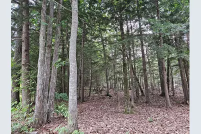 0 Gould Road, Orono, ME 04473 - Photo 3