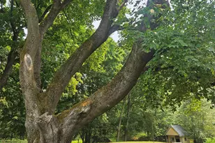 497 N Parish Rd, Turner, ME 04282 - Photo 59