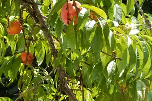 51 Tremont St, Paris, ME 04281 - Photo 17