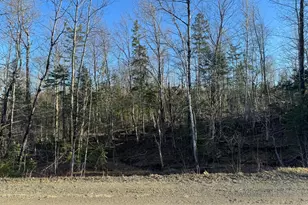 0 Young Lake Rd, Westfield, ME 04787 - Photo 1
