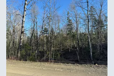 0 Young Lake Road, Westfield, ME 04787 - Photo 5