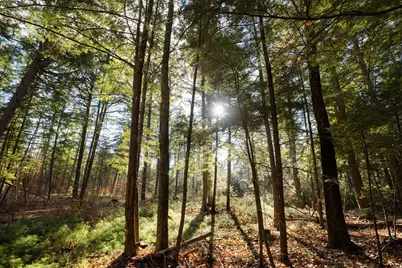 Tbd Branch View Terrace #Lot 5, Alfred, ME 04002 - Photo 11