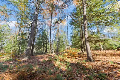 Tbd Branch View Terrace #Lot 4, Alfred, ME 04002 - Photo 15