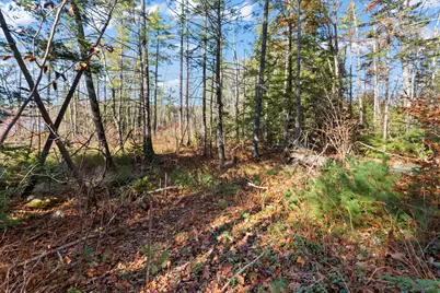 Tbd Branch View Terrace #Lot 4, Alfred, ME 04002 - Photo 17
