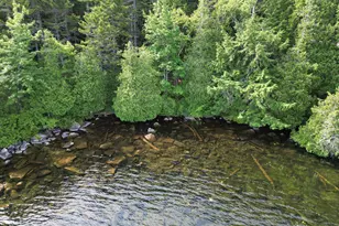 20 Stanhope Mill Rd, Lincoln, ME 04457 - Photo 1