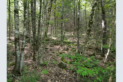 20 Stanhope Mill Road, Lincoln, ME 04457 - Photo 9